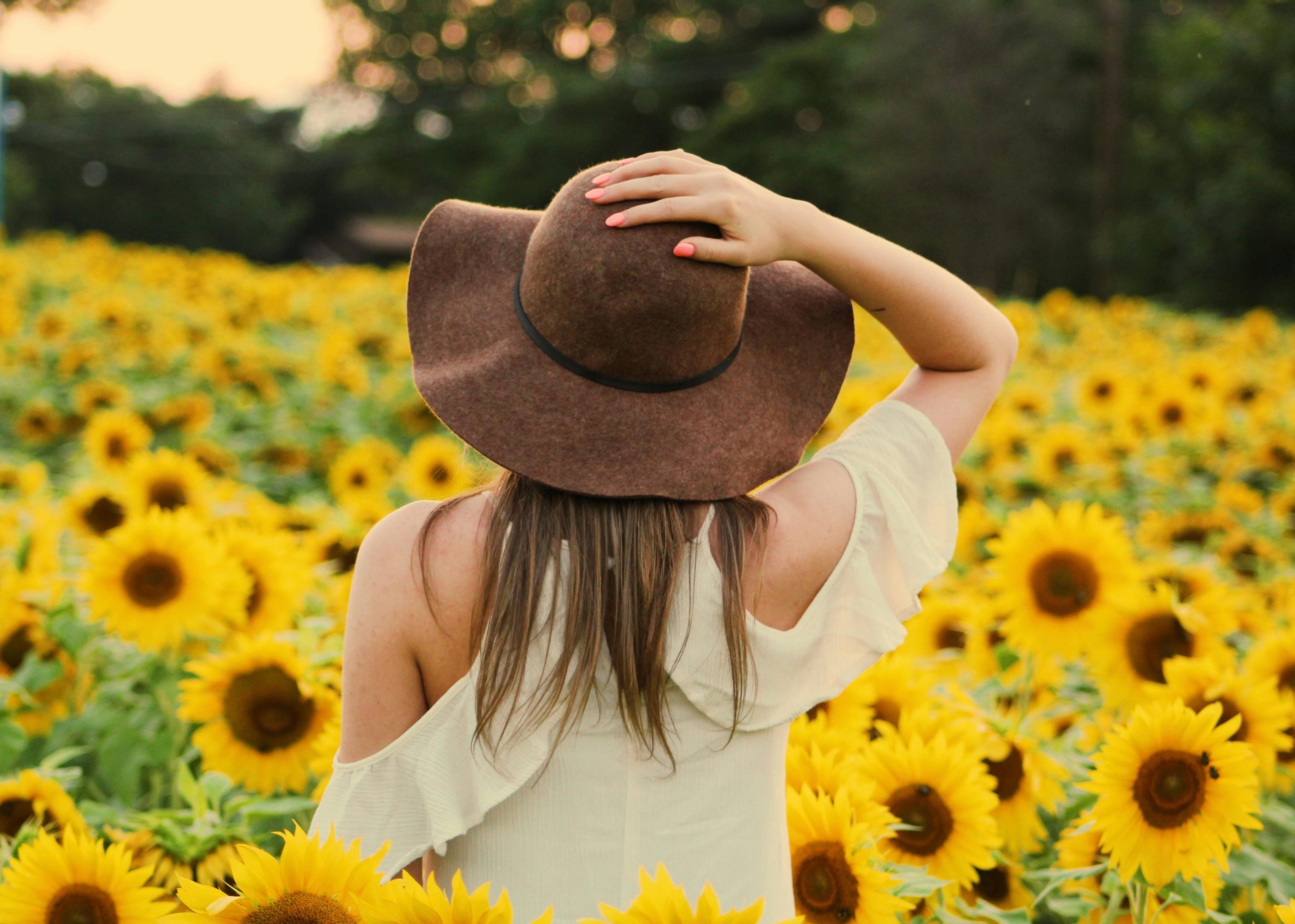 A woman enjoying the beauty of a sunflower field in summer's golden glow.